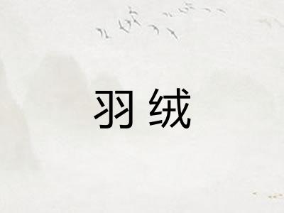羽绒 羽绒