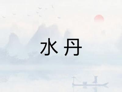 水丹