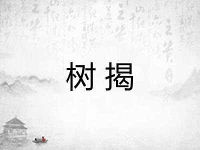 树揭