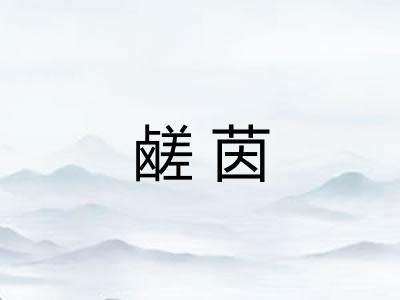 鹾茵 鹾茵