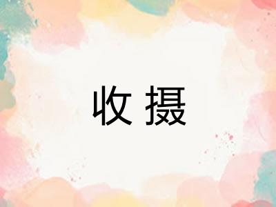 收摄