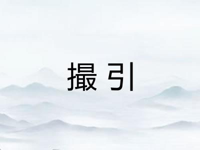 撮引
