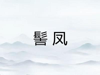 髻凤