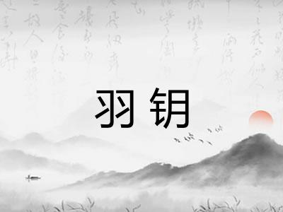 羽钥
