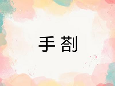 手剳