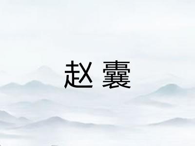 赵囊