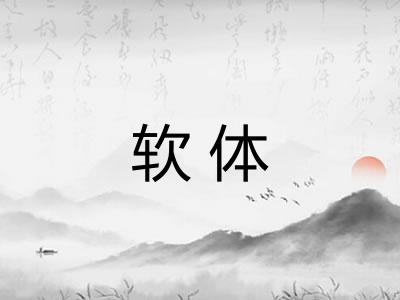 软体