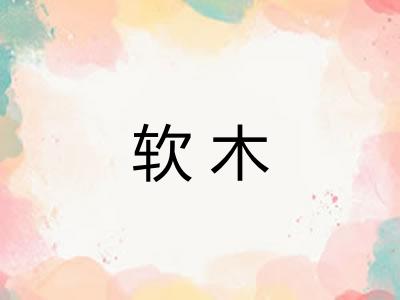 软木