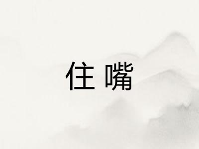 住嘴
