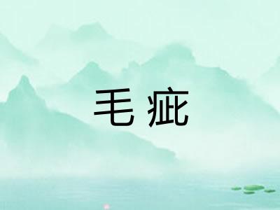 毛疵