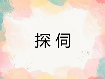 探伺