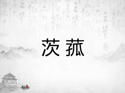 茨菰