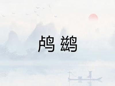 鸬鹚