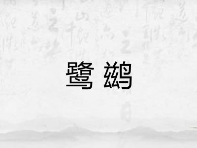 鹭鹚
