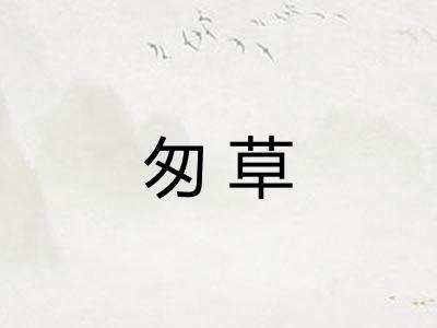 匆草 匆草