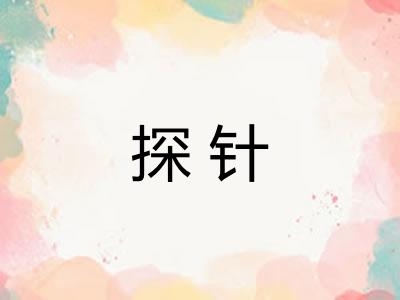 探针