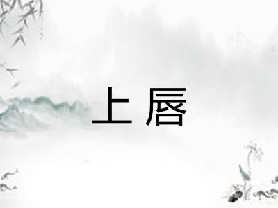 上唇