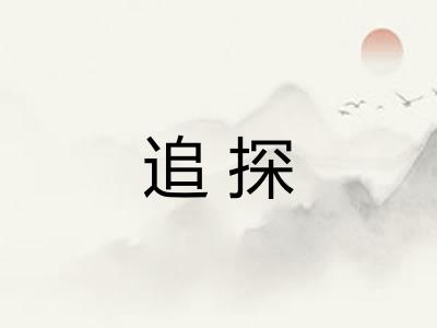 追探
