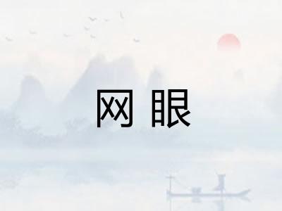 网眼