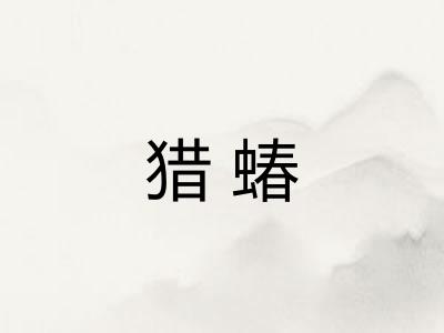 猎蝽