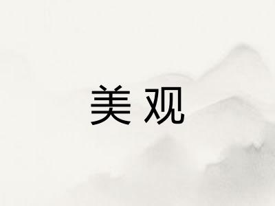 美观