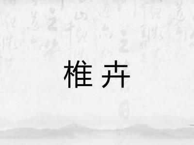 椎卉