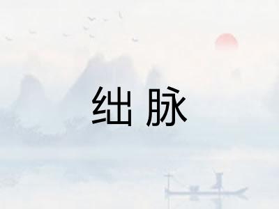 绌脉