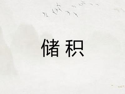 储积