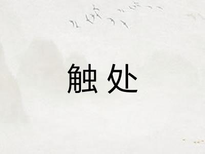 触处