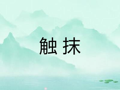 触抹
