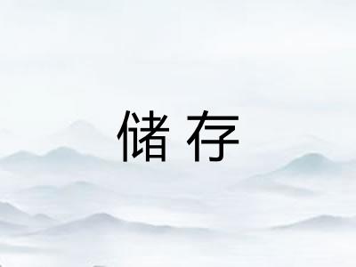储存