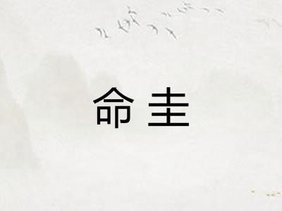 命圭
