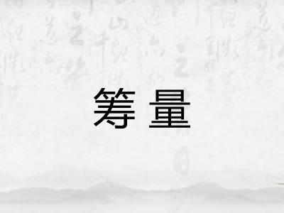 筹量