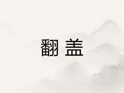 翻盖