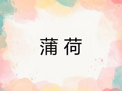 蒲荷