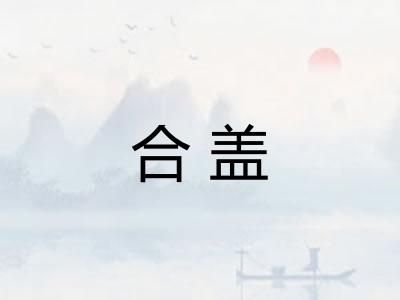 合盖