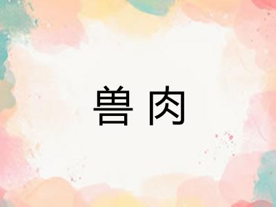 兽肉