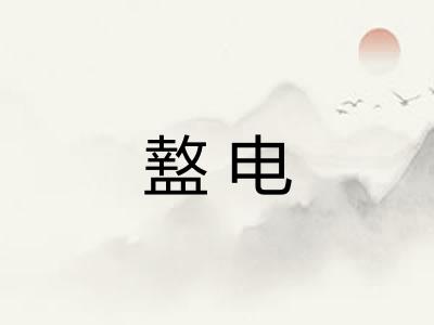 盩电
