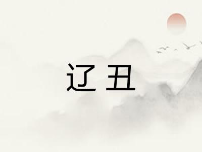 辽丑