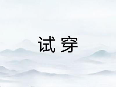 试穿