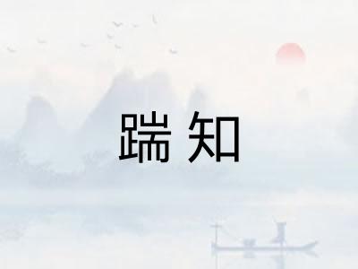 踹知