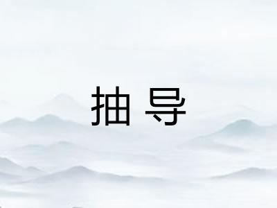 抽导