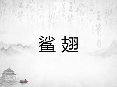 鲨翅
