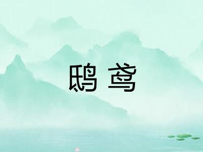 鸱鸢