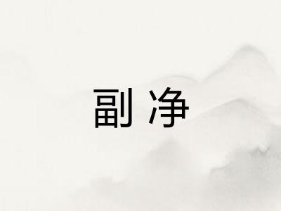 副净