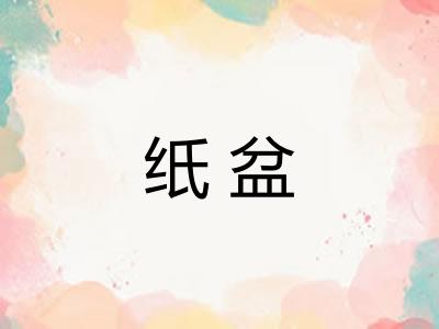 纸盆