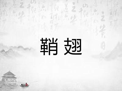 鞘翅