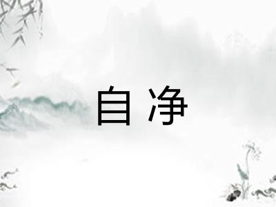 自净