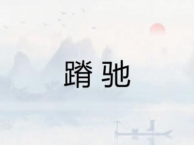 蹐驰