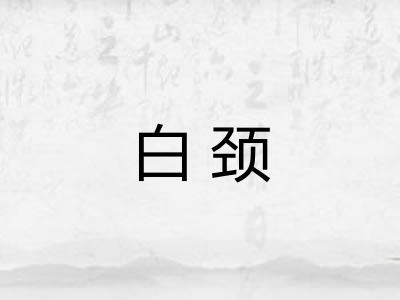 白颈